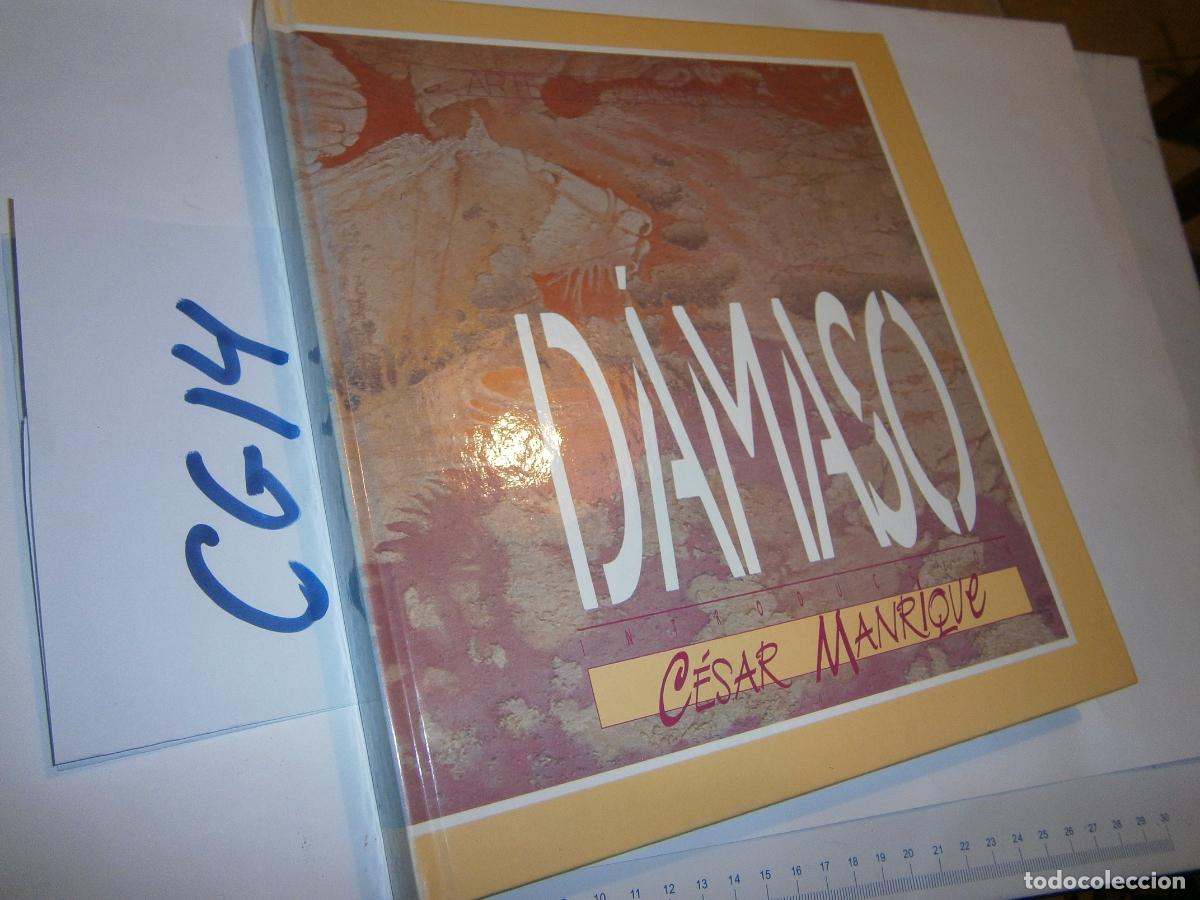 Libros de segunda mano: ANTIGUO LIBRO - DAMASO (INTRODUCCION DE CESAR MANRIQUE) - Foto 1