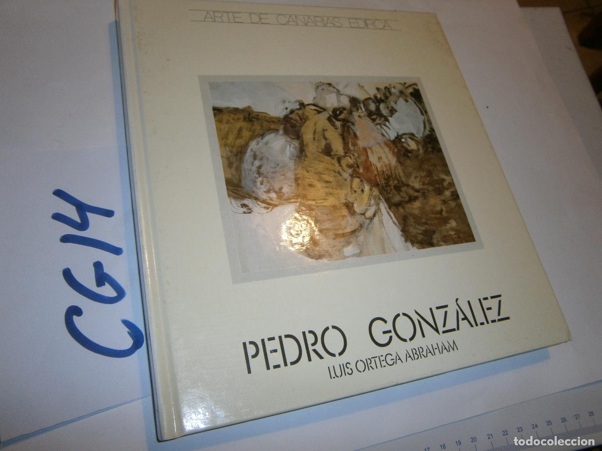 Libros de segunda mano: ANTIGUO LIBRO - PEDRO GONZALEZ - Foto 1