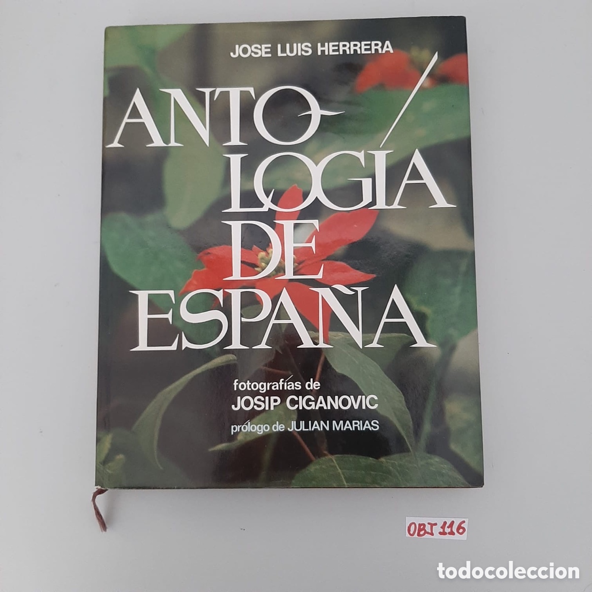 Libros de segunda mano: Antolog&iacute;a de Espa&ntilde;a / Jos&eacute; Luis Herrera - Foto 1