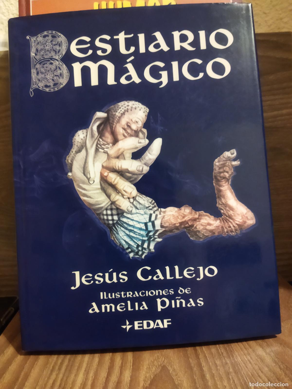 Libros de segunda mano: Bestiario m&aacute;gico - Foto 1