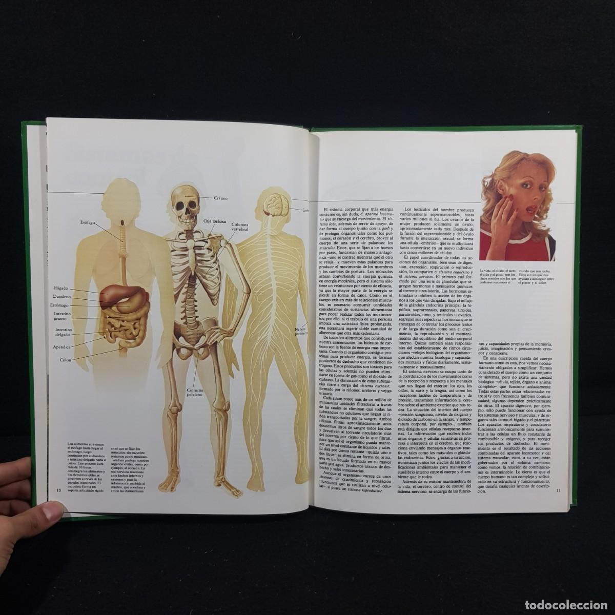 Libros de segunda mano: EL LIBRO DE LA SALUD - EDITORIAL KAIR&Oacute;S - 1979 / 759 - Foto 5