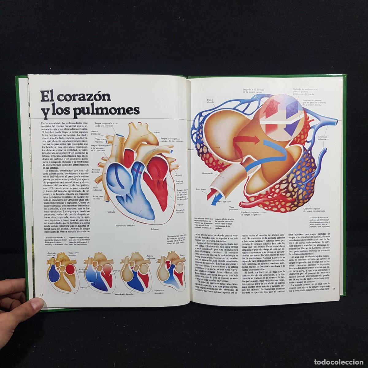 Libros de segunda mano: EL LIBRO DE LA SALUD - EDITORIAL KAIR&Oacute;S - 1979 / 759 - Foto 6