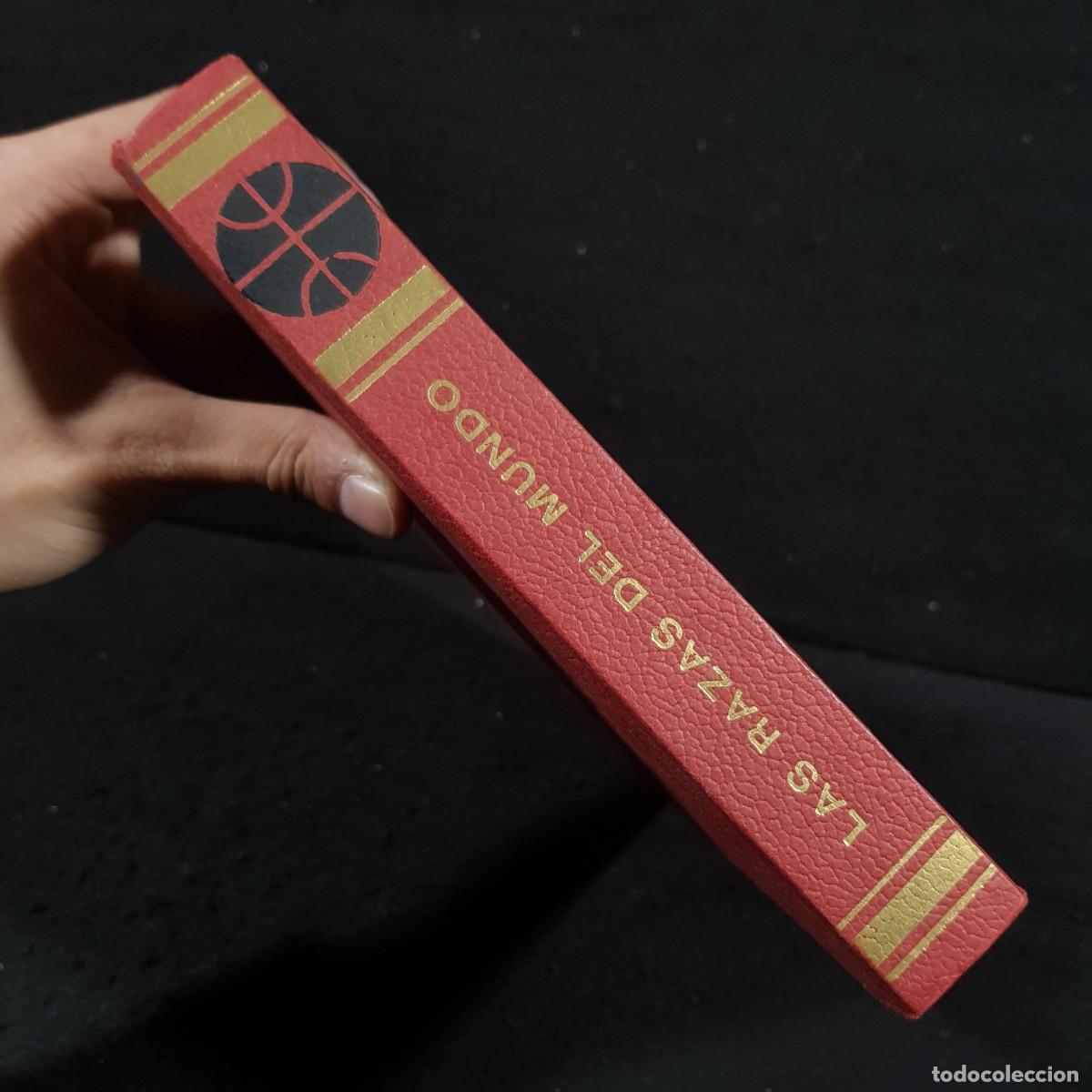 Libros de segunda mano: LAS RAZAS DEL MUNDO - AUGUSTO PANYELLA - EDICIONES RODEGAR / 801 - Foto 3