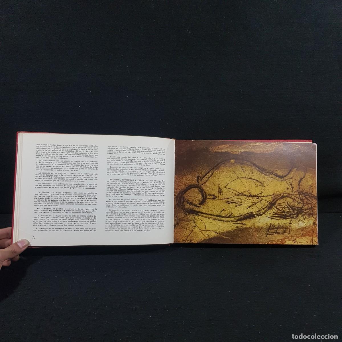 Libros de segunda mano: LAS RAZAS DEL MUNDO - AUGUSTO PANYELLA - EDICIONES RODEGAR / 801 - Foto 5