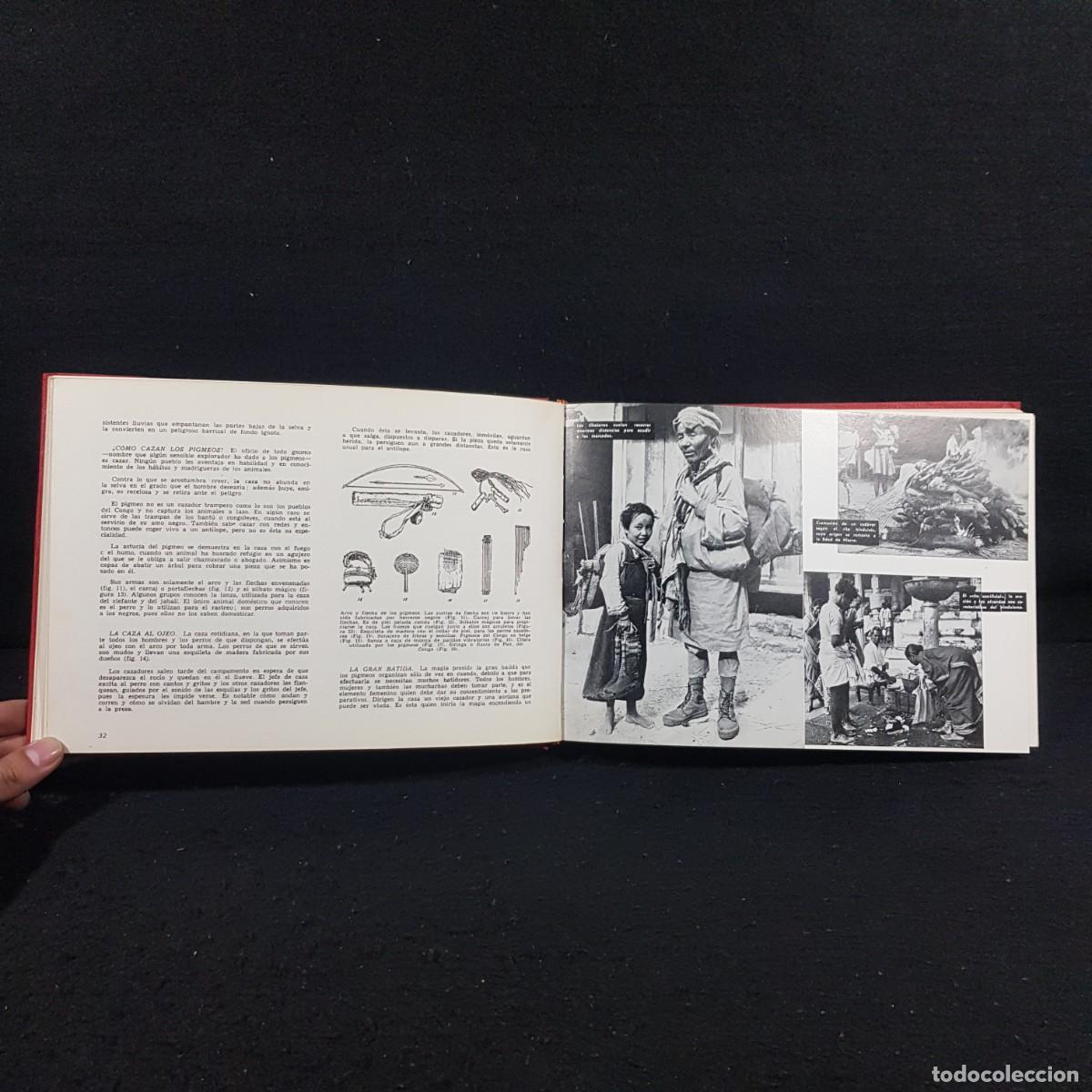Libros de segunda mano: LAS RAZAS DEL MUNDO - AUGUSTO PANYELLA - EDICIONES RODEGAR / 801 - Foto 6