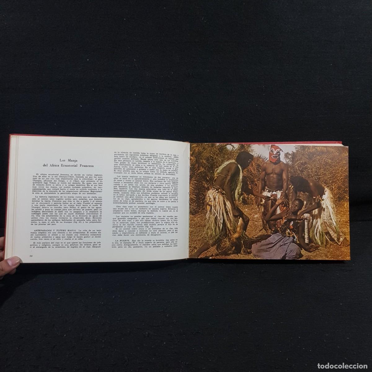 Libros de segunda mano: LAS RAZAS DEL MUNDO - AUGUSTO PANYELLA - EDICIONES RODEGAR / 801 - Foto 7