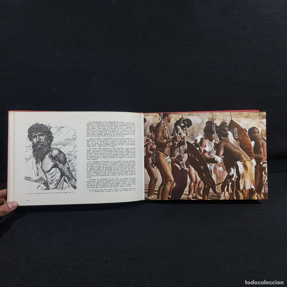 Libros de segunda mano: LAS RAZAS DEL MUNDO - AUGUSTO PANYELLA - EDICIONES RODEGAR / 801 - Foto 8