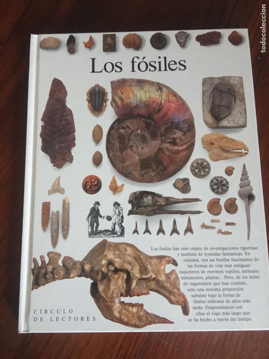 Libros de segunda mano: Biblioteca visual Altea.CIRCULO DE LECTORES. - Foto 3