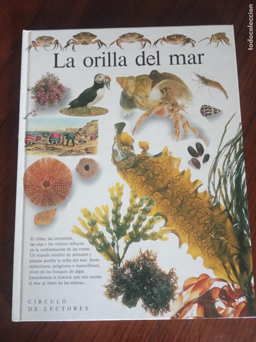 Libros de segunda mano: Biblioteca visual Altea.CIRCULO DE LECTORES. - Foto 5