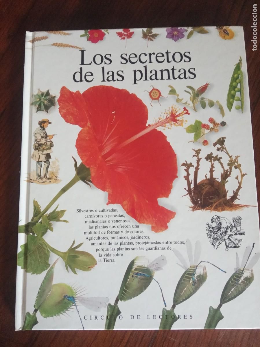 Libros de segunda mano: Biblioteca visual Altea.CIRCULO DE LECTORES. - Foto 8