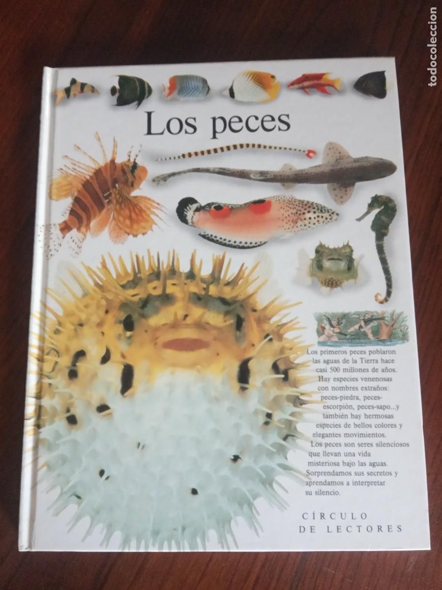 Libros de segunda mano: Biblioteca visual Altea.CIRCULO DE LECTORES. - Foto 11