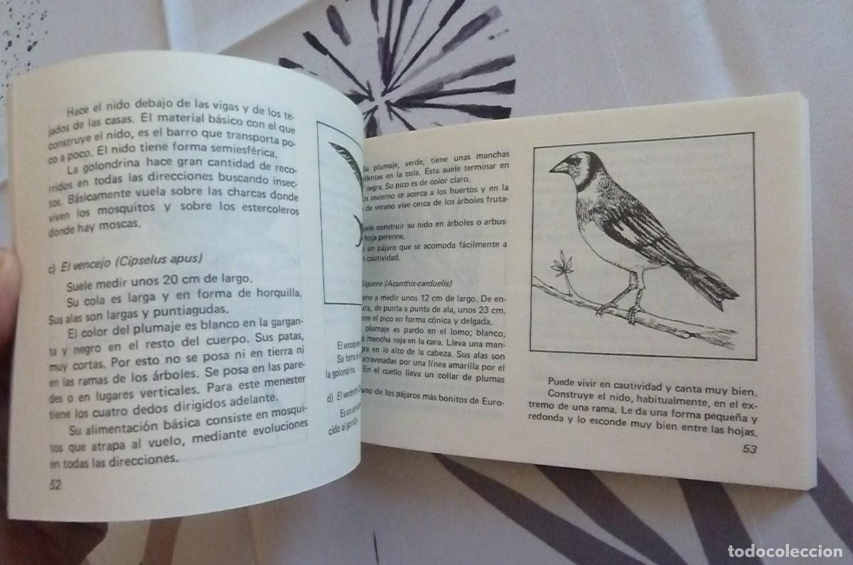 Libros de segunda mano: SIERRA DE MARIOLA. Edeb&eacute; - Foto 6