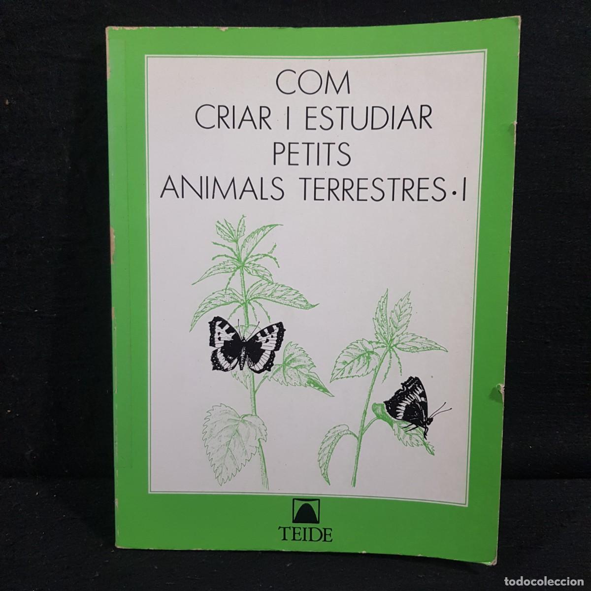 Libros de segunda mano: COM CRIAR I ESTUDIAR PETITS ANIMALS TERRESTRES - I - TEIDE / 344 - Foto 1