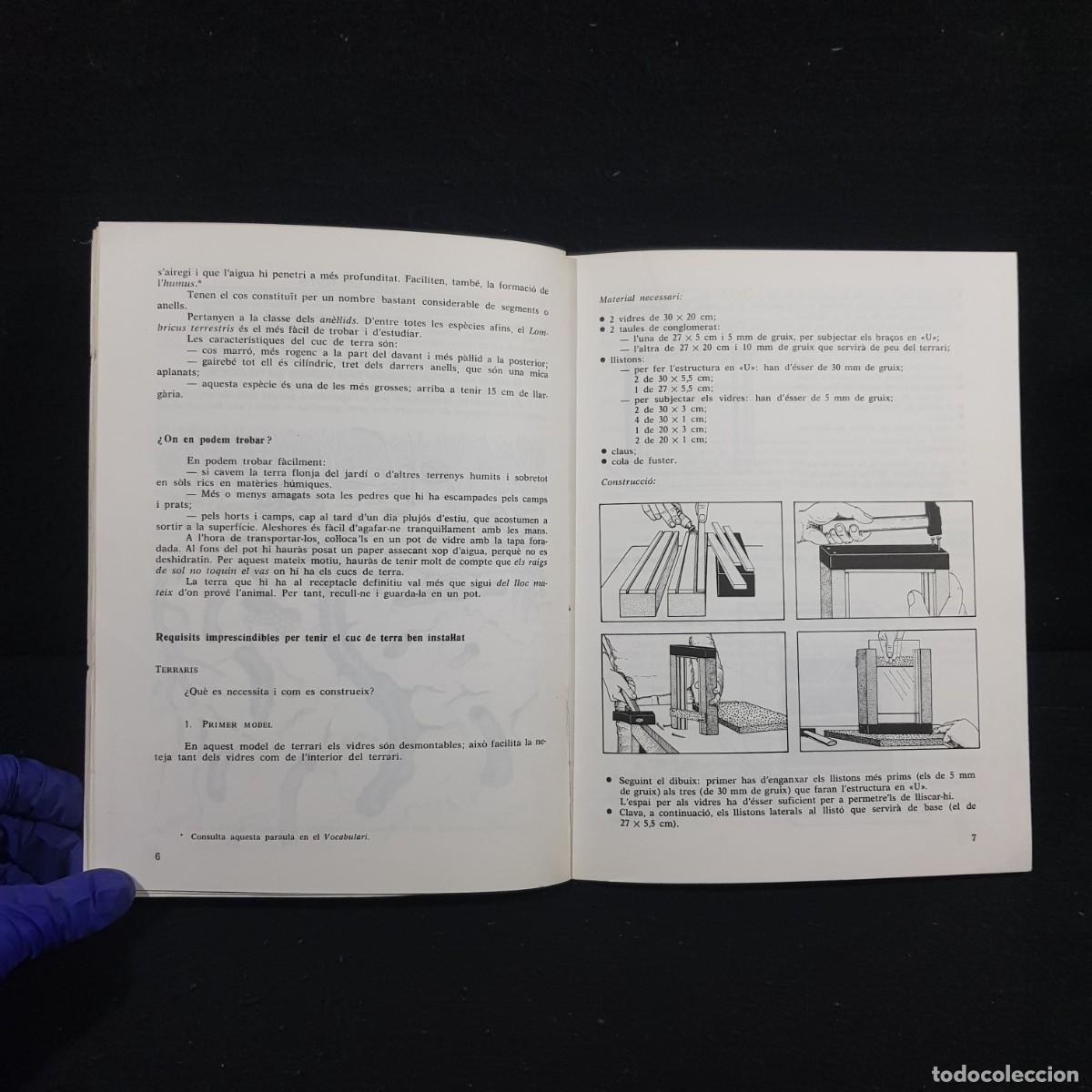 Libros de segunda mano: COM CRIAR I ESTUDIAR PETITS ANIMALS TERRESTRES - I - TEIDE / 344 - Foto 5