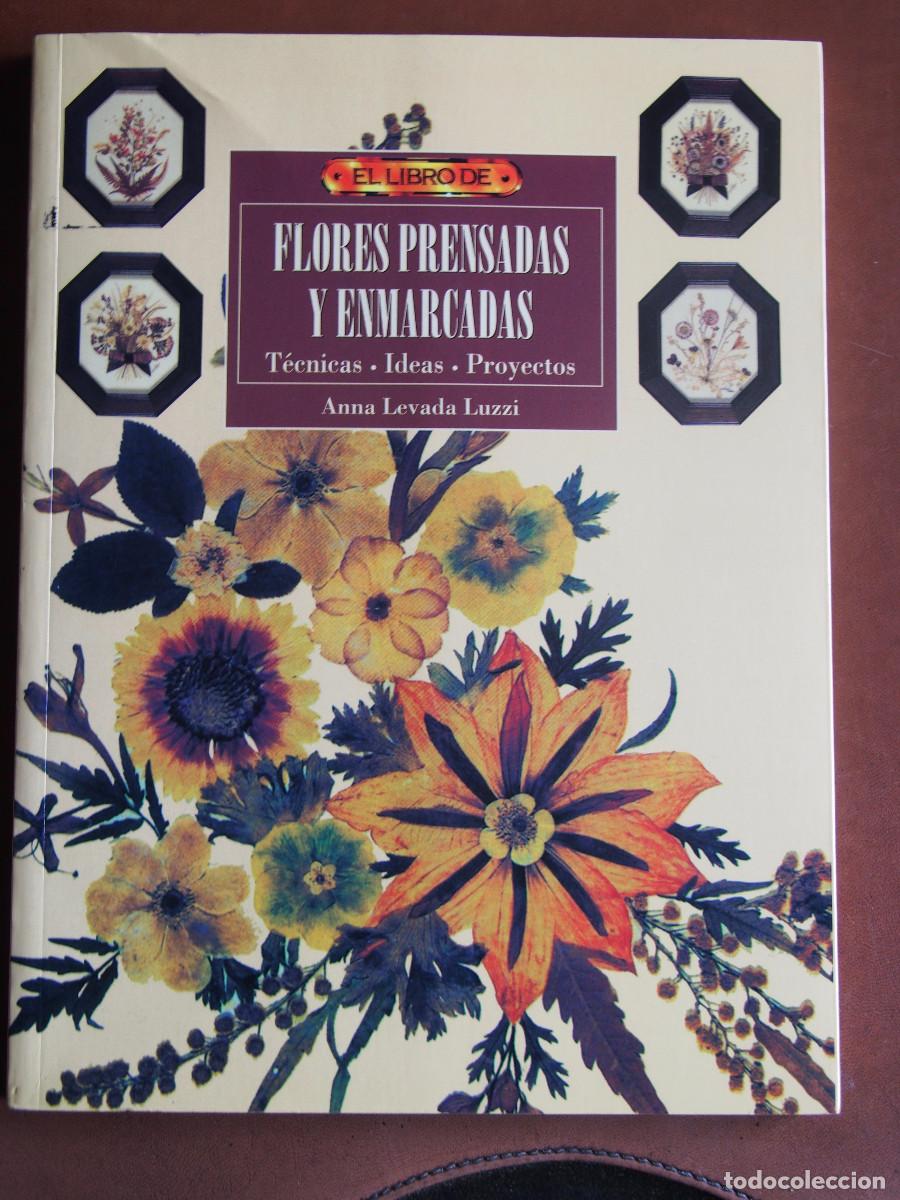 Libros de segunda mano: Anna Levada Luzzi - Flores prensadas y enmarcadas - T&eacute;cnicas - Ideas - Proyectos - Foto 1