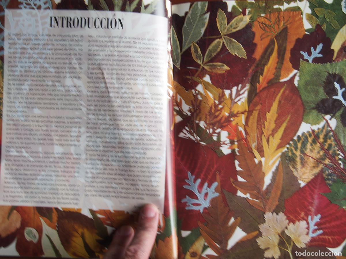 Libros de segunda mano: Anna Levada Luzzi - Flores prensadas y enmarcadas - T&eacute;cnicas - Ideas - Proyectos - Foto 3