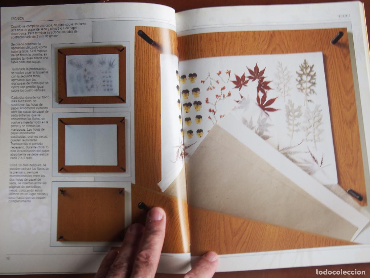 Libros de segunda mano: Anna Levada Luzzi - Flores prensadas y enmarcadas - T&eacute;cnicas - Ideas - Proyectos - Foto 4