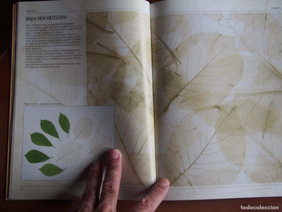 Libros de segunda mano: Anna Levada Luzzi - Flores prensadas y enmarcadas - T&eacute;cnicas - Ideas - Proyectos - Foto 5
