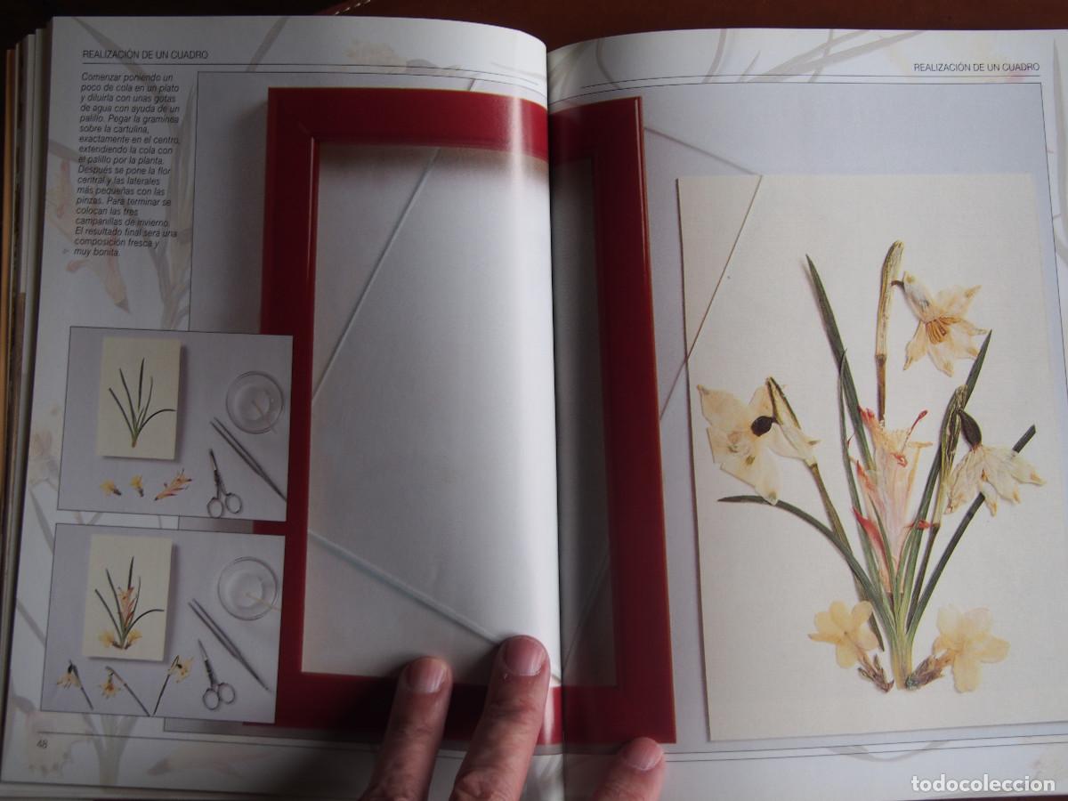 Libros de segunda mano: Anna Levada Luzzi - Flores prensadas y enmarcadas - T&eacute;cnicas - Ideas - Proyectos - Foto 7