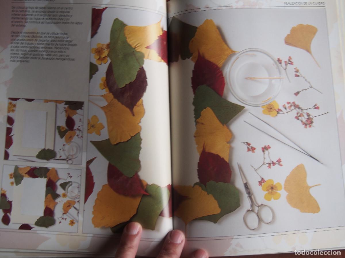 Libros de segunda mano: Anna Levada Luzzi - Flores prensadas y enmarcadas - T&eacute;cnicas - Ideas - Proyectos - Foto 8
