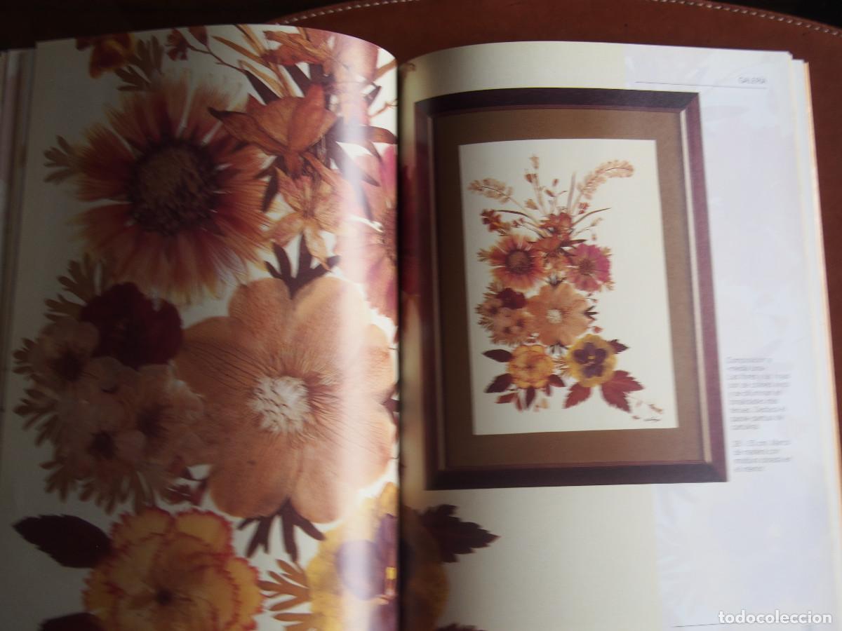 Libros de segunda mano: Anna Levada Luzzi - Flores prensadas y enmarcadas - T&eacute;cnicas - Ideas - Proyectos - Foto 9