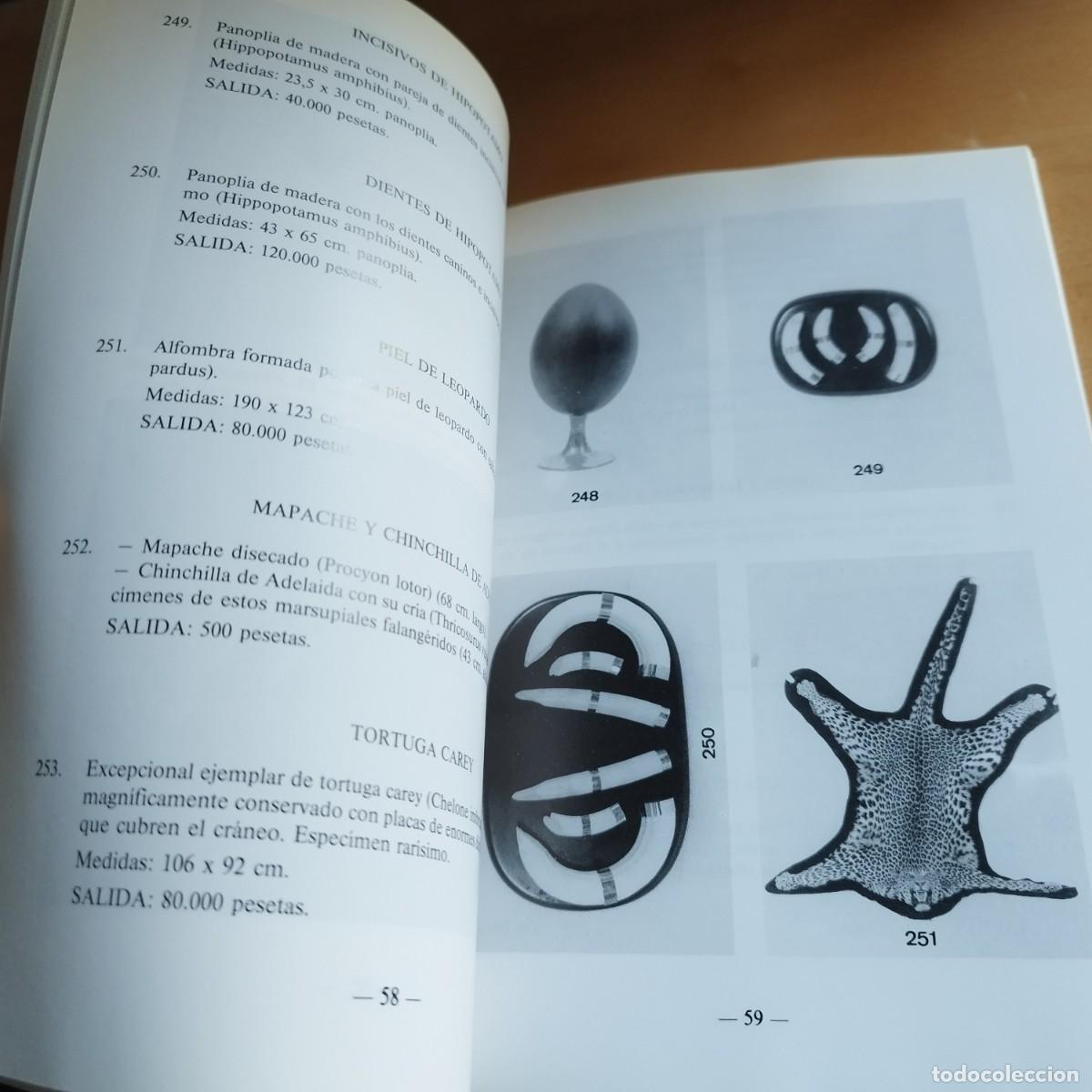 Libros de segunda mano: DURAN SUBASTA N&ordm;246 / / EVA 075 - Foto 13
