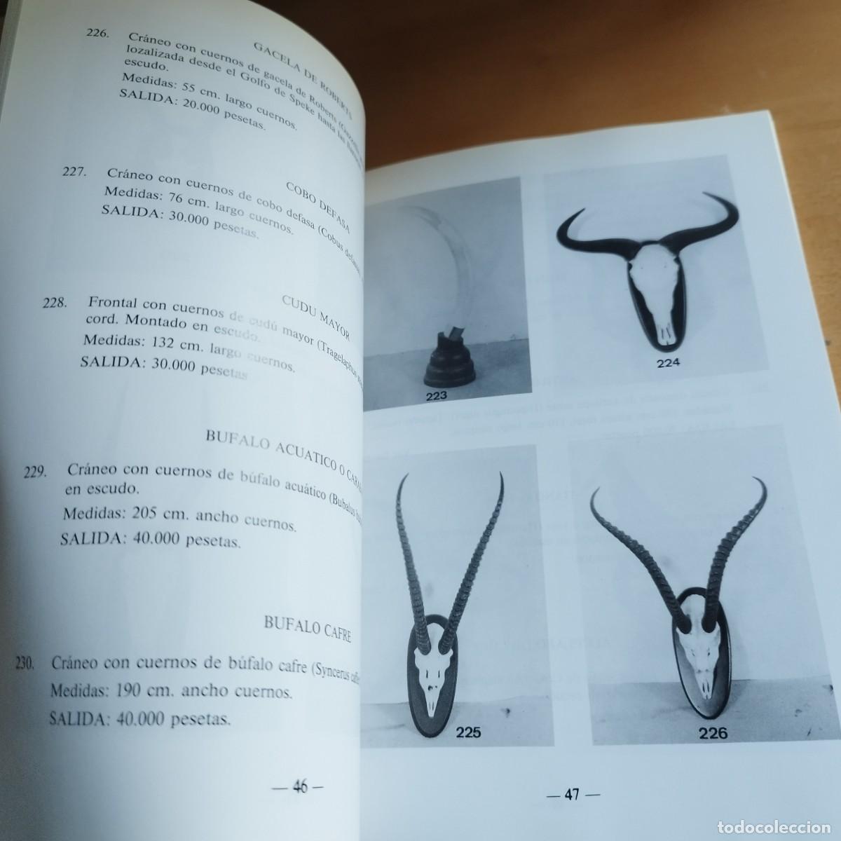 Libros de segunda mano: DURAN SUBASTA N&ordm;246 / / EVA 075 - Foto 15
