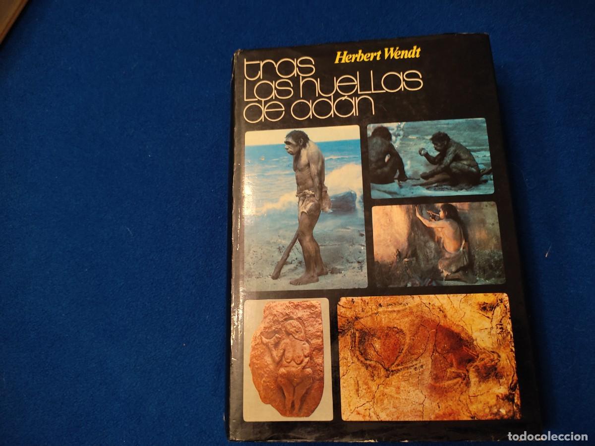 Libros de segunda mano: TRAS LAS HUELLAS DE AD&Aacute;N Herbert Brent Editorial Noguer 1973 - Foto 1