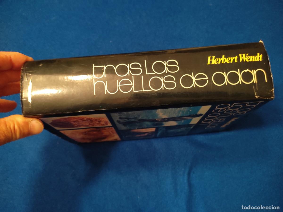 Libros de segunda mano: TRAS LAS HUELLAS DE AD&Aacute;N Herbert Brent Editorial Noguer 1973 - Foto 2