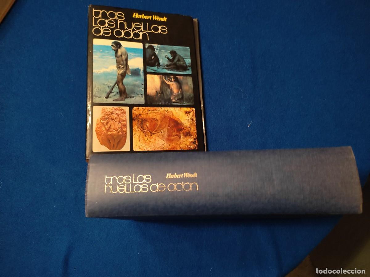 Libros de segunda mano: TRAS LAS HUELLAS DE AD&Aacute;N Herbert Brent Editorial Noguer 1973 - Foto 4