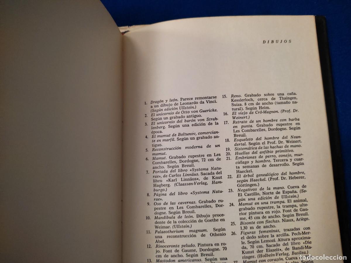 Libros de segunda mano: TRAS LAS HUELLAS DE AD&Aacute;N Herbert Brent Editorial Noguer 1973 - Foto 10