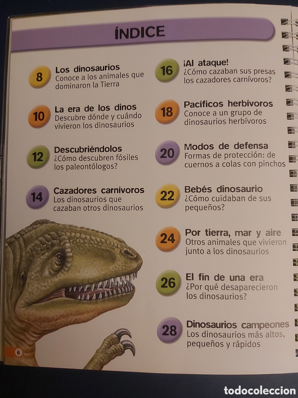 Libros de segunda mano: LIBRO + CD ROM LOS DINOSAURIOS SM / MUNDO CLIC 2003 - Foto 5