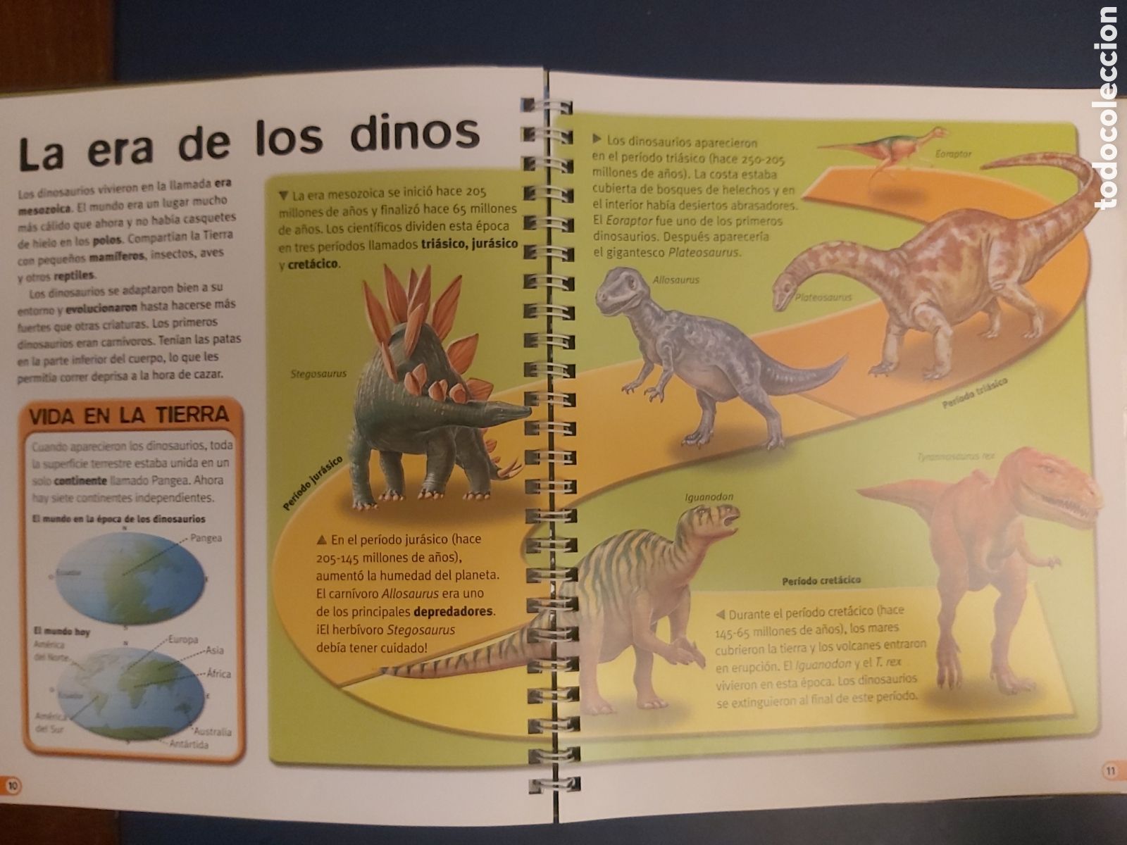 Libros de segunda mano: LIBRO + CD ROM LOS DINOSAURIOS SM / MUNDO CLIC 2003 - Foto 7