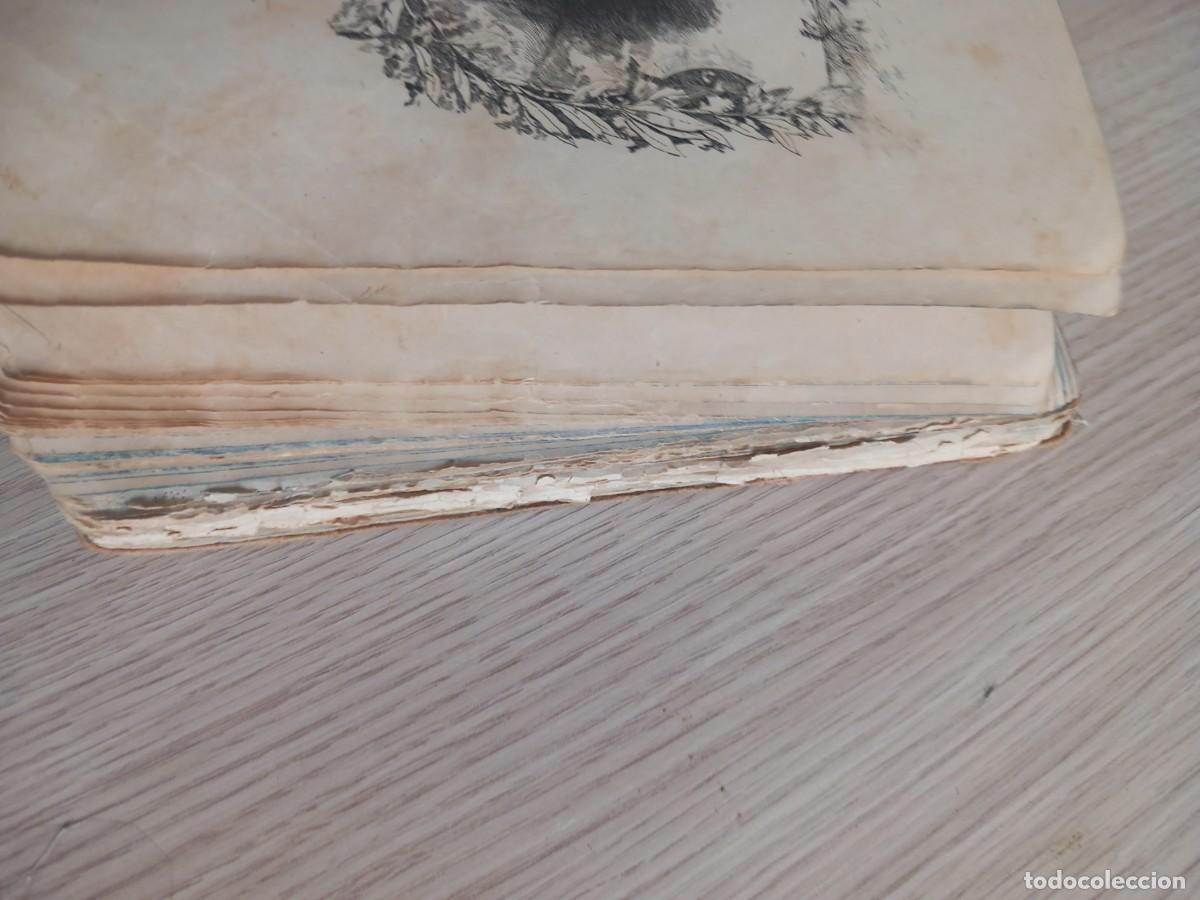 Libros de segunda mano: LIBRO POESIAS ESCOGIDAS 1883 - Foto 7