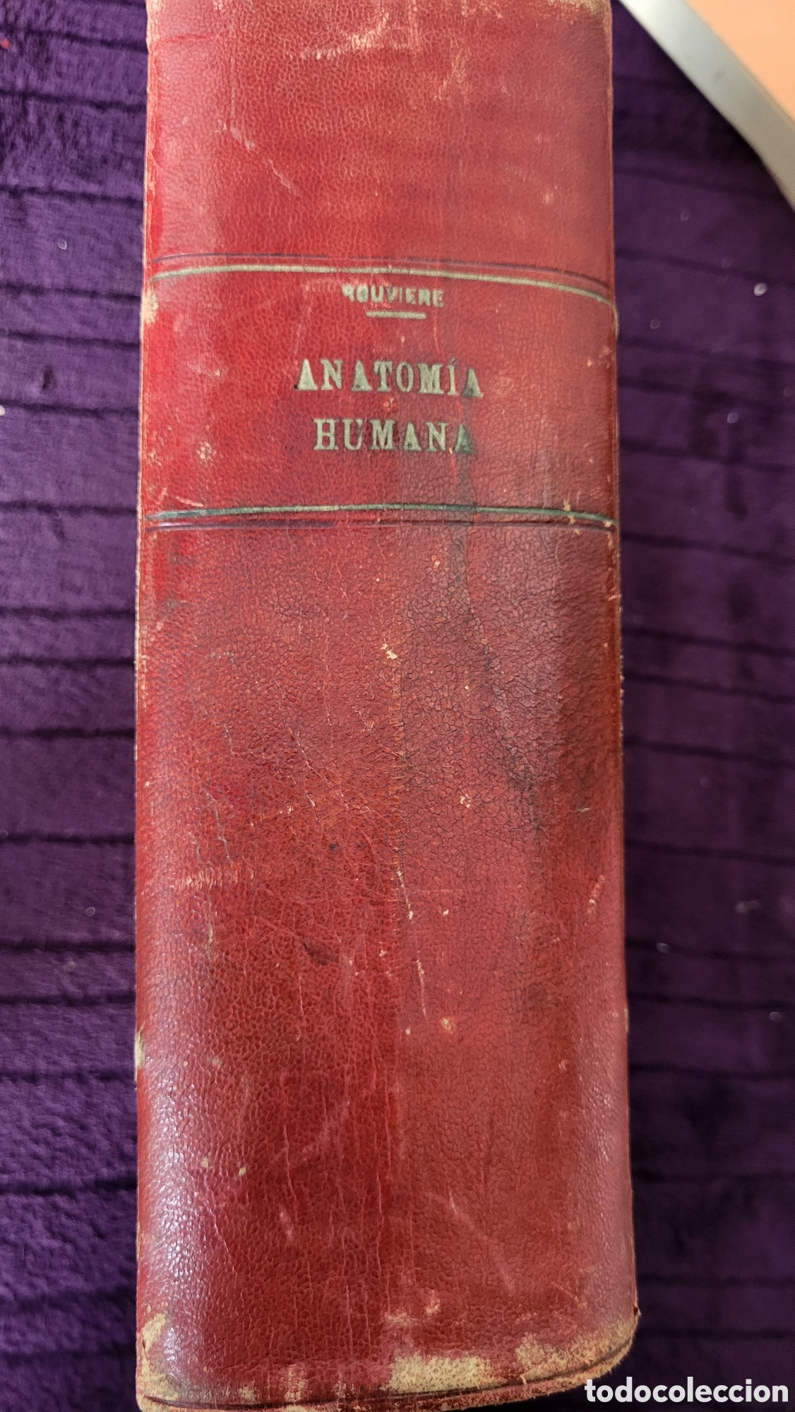 Libros de segunda mano: Anatom&iacute;a Humana 1930 - Foto 1