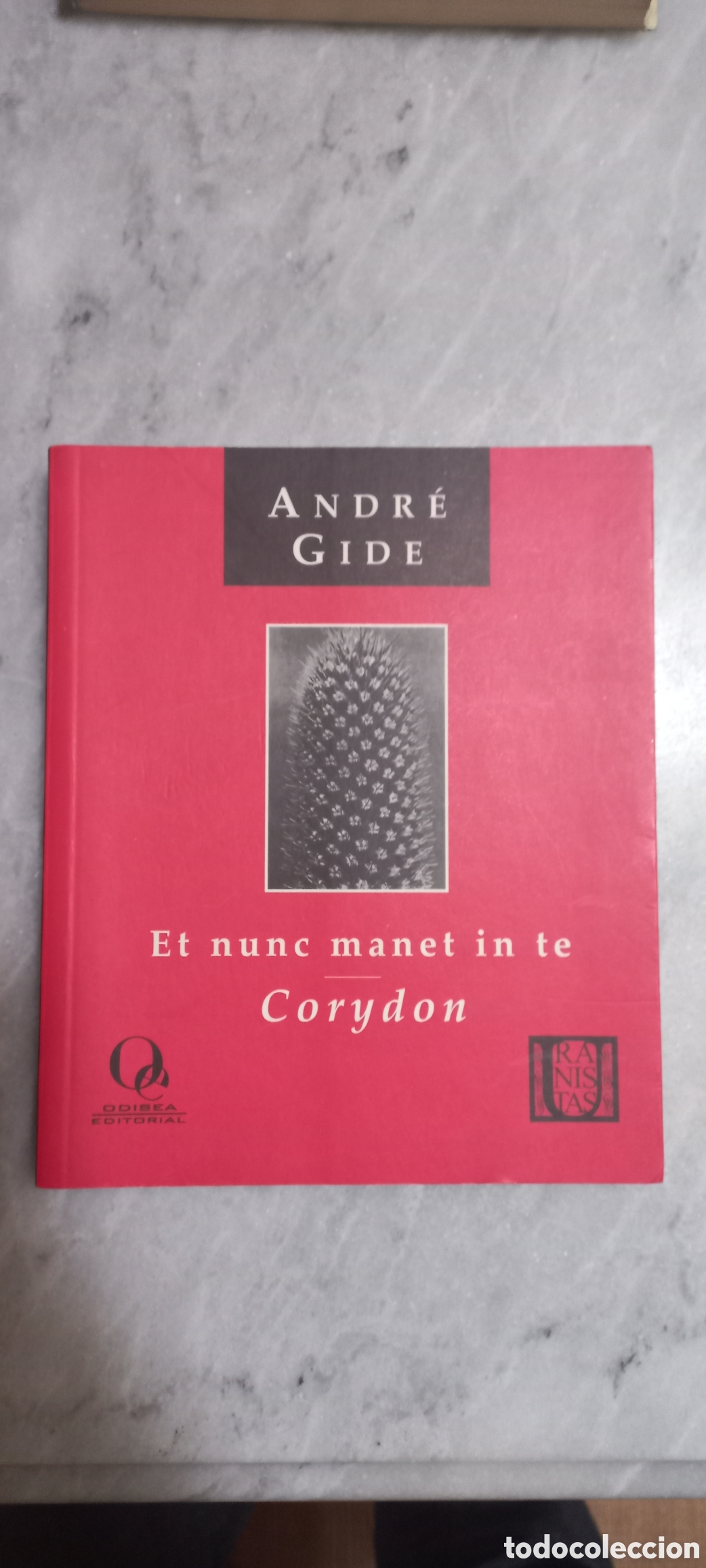 Libros de segunda mano: Et nunc manet in te / Corydon, Andr&eacute; Gide - Foto 1