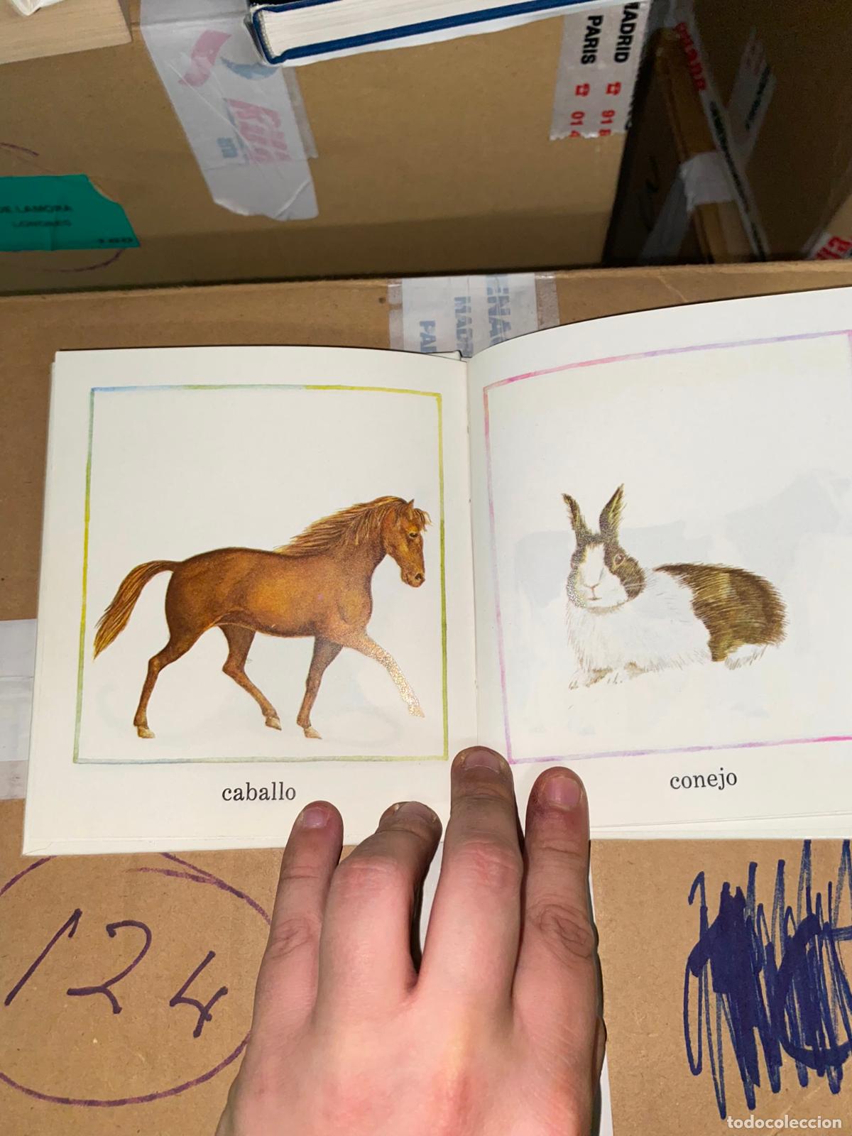 Libros de segunda mano: Mira los animales - para bebes - Editorial norma - Foto 2