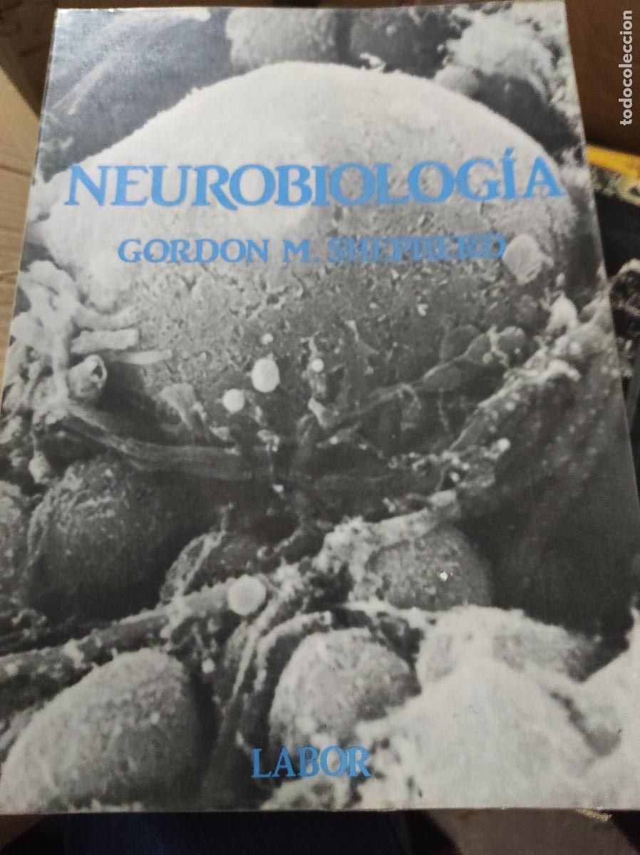 Libros de segunda mano: NEUROBIOLOG&Iacute;A - GORDON M. SHEPHERD - EDITORIAL LABOR - Foto 1