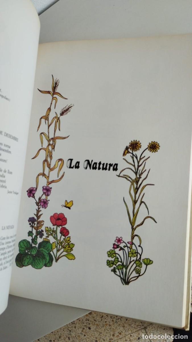 Libros de segunda mano: Recull de poemes per a petits i grans - Foto 4