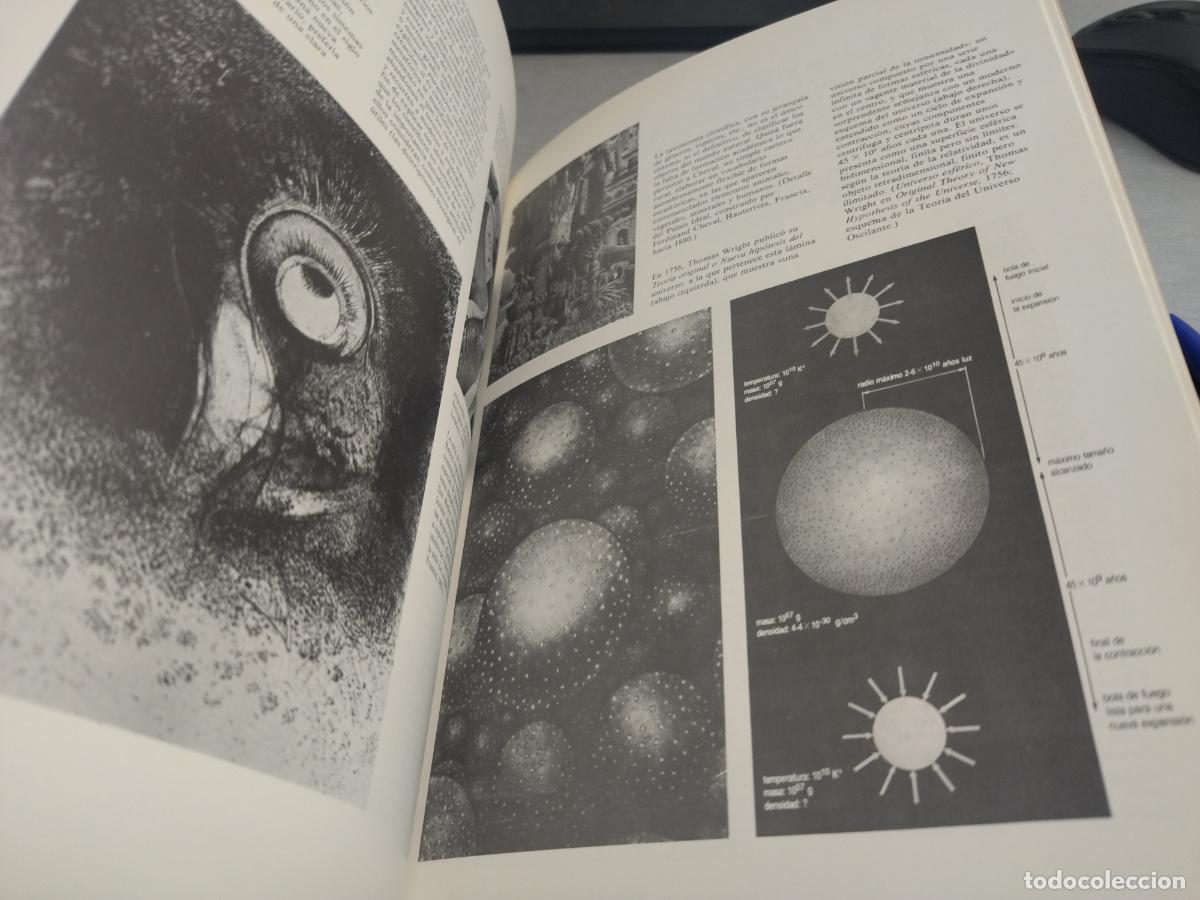 Libros de segunda mano: MITOS DE LA CREACI&Oacute;N / DAVID MACLAGAN / ED. DEBATE 1994 - Foto 2