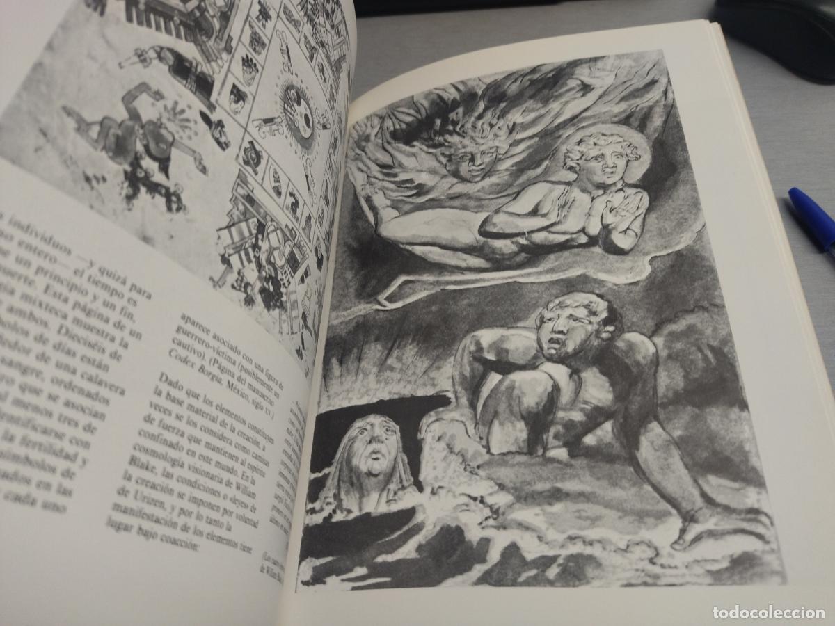 Libros de segunda mano: MITOS DE LA CREACI&Oacute;N / DAVID MACLAGAN / ED. DEBATE 1994 - Foto 3