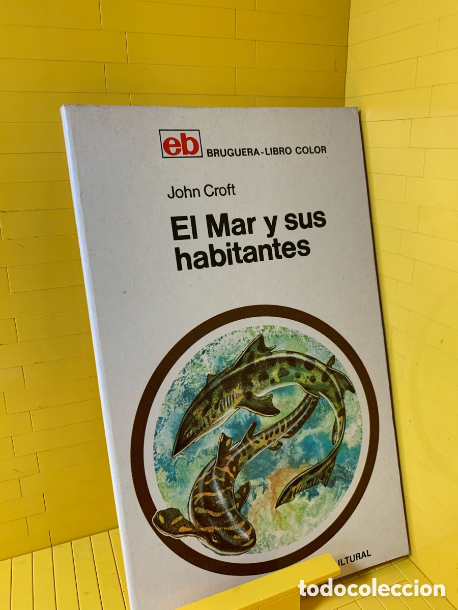 Libros de segunda mano: EL MAR Y SUS HABITANTES &middot;&middot;&middot;&middot;&middot; JOHN CROFT - Foto 1
