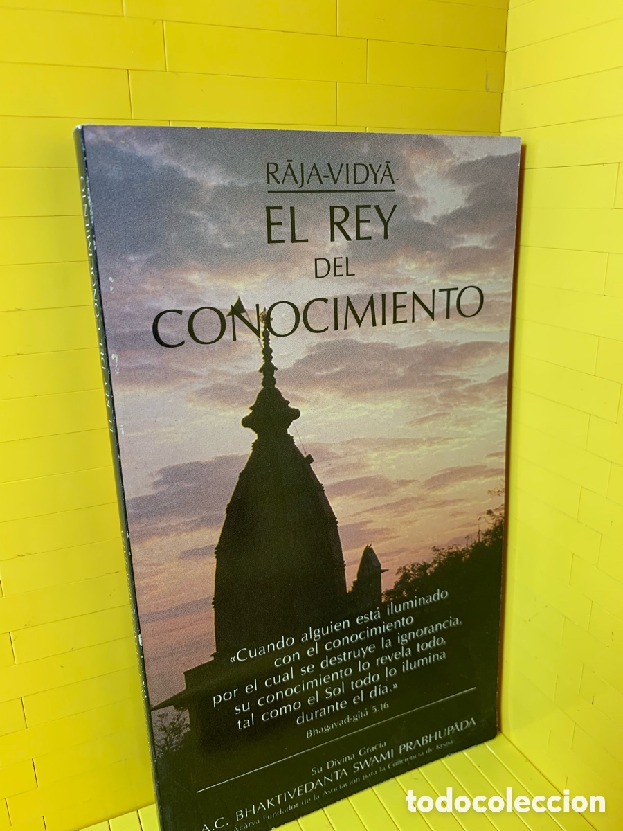 Libros de segunda mano: EL REY DEL CONOCIMIENTO &middot;&middot;&middot;&middot; RAJA VIDYA - Foto 1