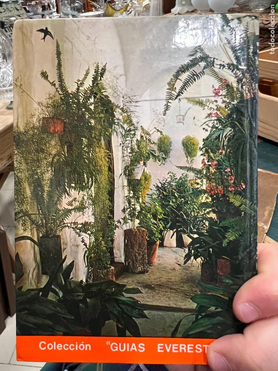 Libros de segunda mano: LIBRO CADIZ - JOSE MANUEL GARCIA GOMEZ - Foto 2