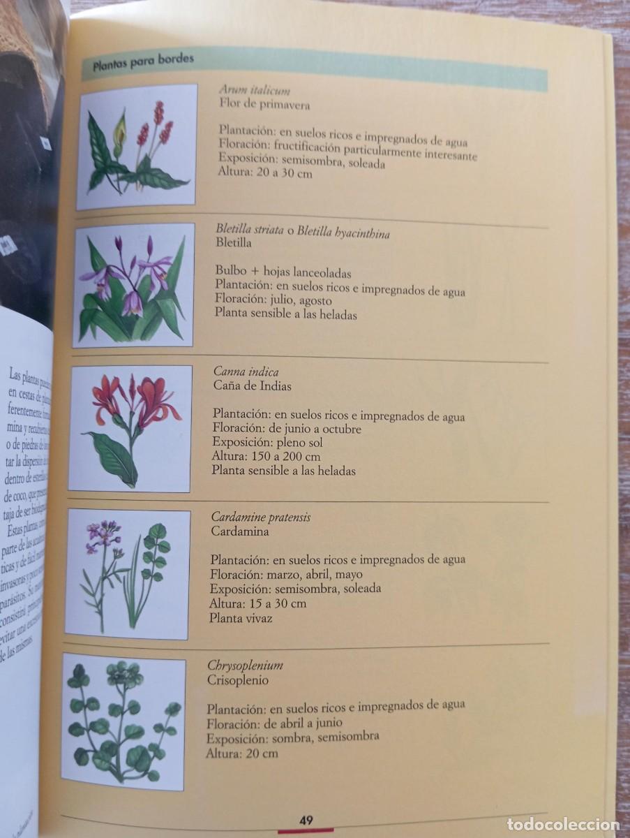 Libros de segunda mano: JARDINES ACUATICOS - MAGALI MARTIJA-OCHOA - Foto 3