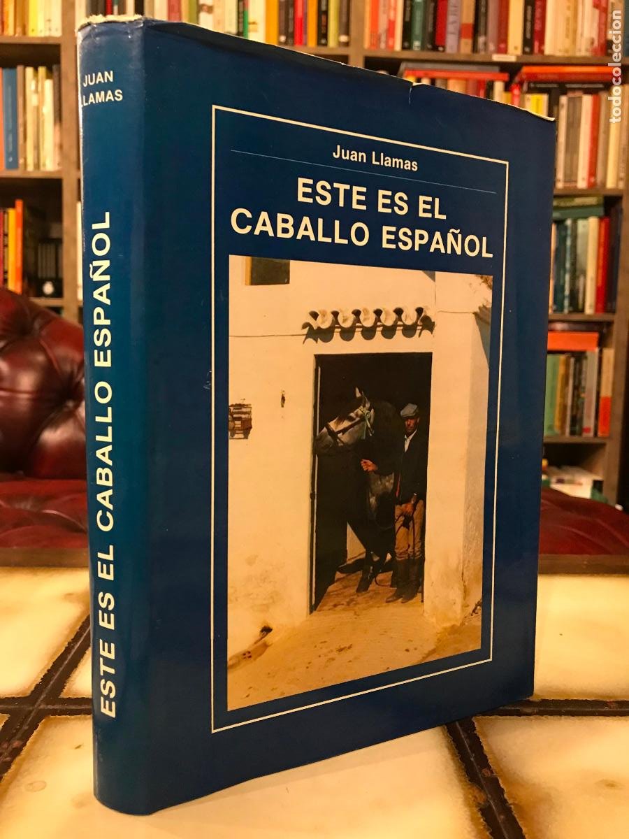 este es el caballo español. juan llamas. - Compra venta en todocoleccion