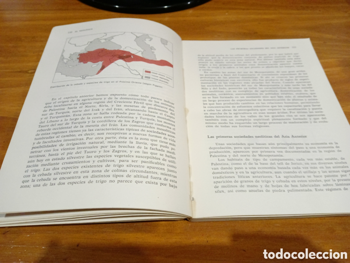 Libros de segunda mano: Lecciones de prehistoria. - Foto 4