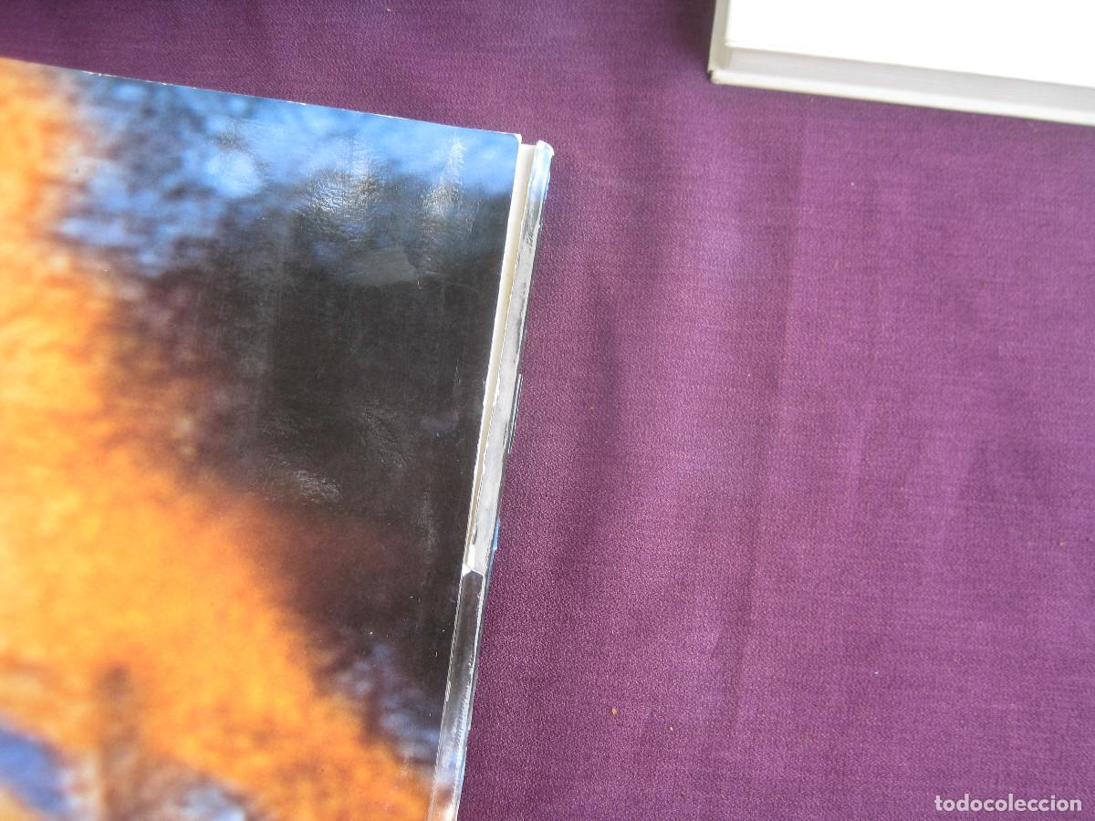 Libros de segunda mano: Francesc Torres - La cabeza del drag&oacute;n. Reina Sofia - Foto 7
