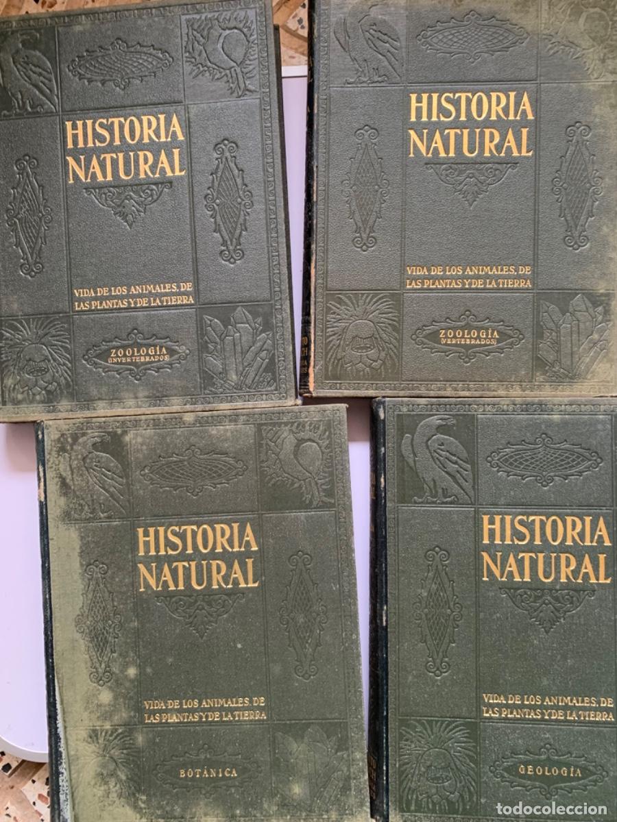 Libros de segunda mano: Historia Natural , completa 4 tomos. Instituto Gallach - Foto 1