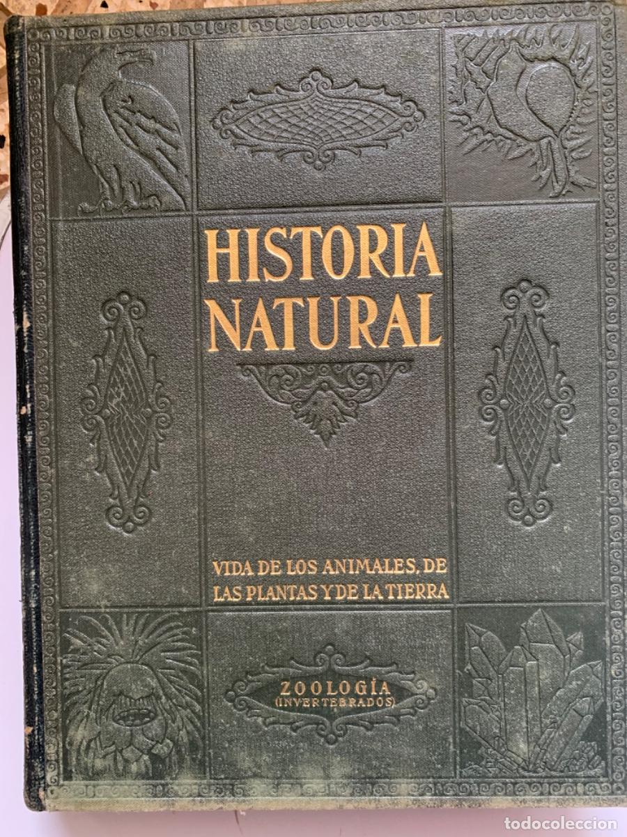 Libros de segunda mano: Historia Natural , completa 4 tomos. Instituto Gallach - Foto 2